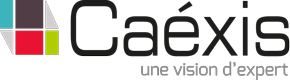 Caexis_LOGO_CAEXIS_une_vision_d_expert